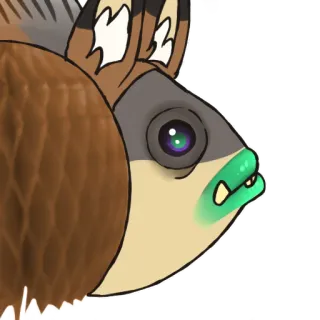 🐟 840c3990 动物, 生物, 卡通, 绘画, 奇怪 telegram sticker