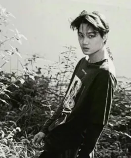 @Mr_OLhandro telegram stickers