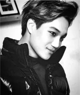 🌑 bf82da46 Kai idol, kpop, exo, retrato, homem, cantor, artista whatsapp sticker