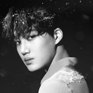 🌑 e4896dca Kai kpop, idol, kai, exo, cantor, retrato, dançarino whatsapp sticker