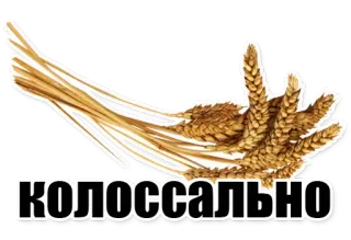 Как? Так! telegram stickers