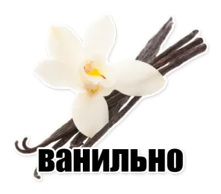 Как? Так! whatsapp stickers