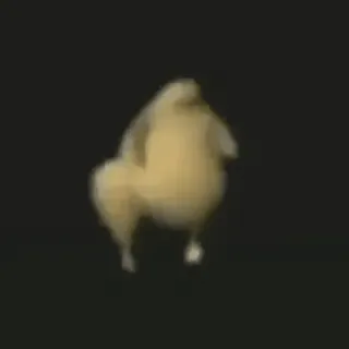 🐔 019a9a7f 닭, 춤, 새, 동물, 밈 whatsapp sticker