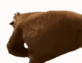 Говно @poxoduinvalid whatsapp stickers