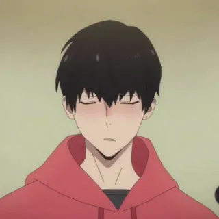 💵 460b10a1 Anime, Hoodie, Charakter, Geschlossene Augen telegram sticker