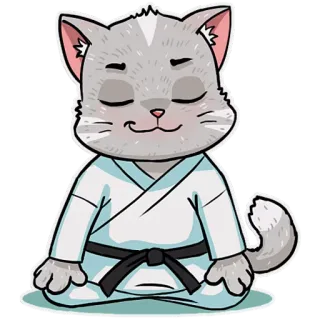 😇 c4c0dffe gato, kárate, artes marciales, meditación, animal, pegatina telegram sticker