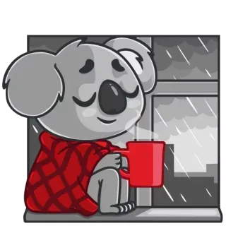 😌 075207cc 考拉, 悲伤, 雨, 窗户, 马克杯, 舒适, 毯子, 卡通, 贴纸 telegram sticker
