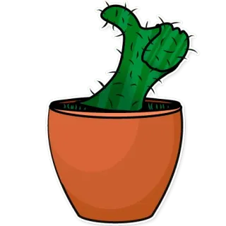 Kamila Koala telegram stickers