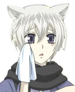 😢 0bce52c5 Tomoe Kamisama Kiss Anime, Manga, Kitsune, Rubah, Menangis, Tomoe, Kamisama Kiss whatsapp sticker
