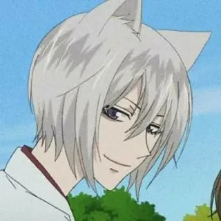 ☁️ 67072e0c Tomoe Kamisama Kiss Anime, Zorro, Manga, Personaje, Tomoe, Kamisama Kiss, Orejas telegram sticker