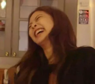 🎗 0e5bec79 ridere, felice, donna, ritratto, persona, gioia, espressione facciale telegram sticker