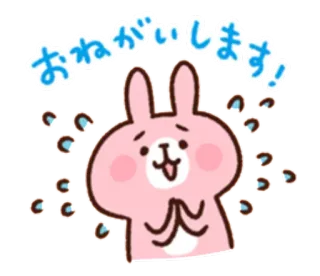 💦 a50e9250 おねがいします! bunny, request, pleading, kawaii, cute, animal whatsapp sticker