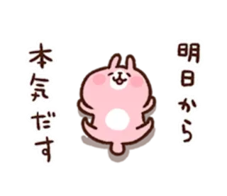 🐰 d8b2204c 本気出す 明日から 토끼, 일본어 텍스트, 분홍색, 스티커 telegram sticker