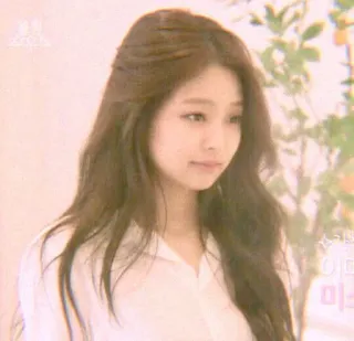 🌹 49ae08a3 telegram sticker