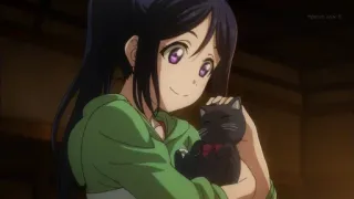 🐱 91957bc6 telegram sticker