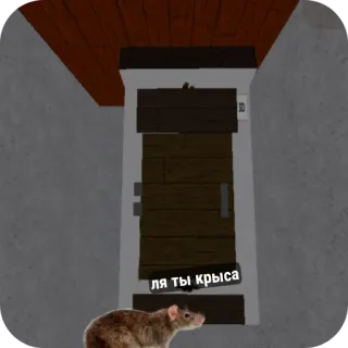🧱 89284a0a ля ты крыса крыса, животное, дверь, здание, русский, оскорбление telegram sticker