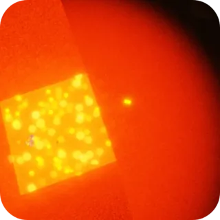 💀 e0d4f6ca telegram sticker