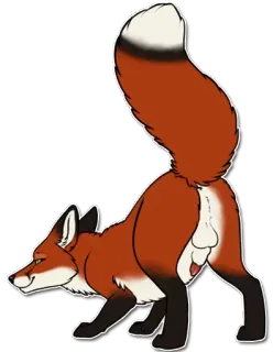 🔴 3c933092 volpe, animale, mammifero, carino, volpe rossa, fauna selvatica whatsapp sticker