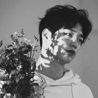 ➖ dbfee0b3 mann, blumen, porträt, schwarzweiss, person, gesicht, hoodie whatsapp sticker