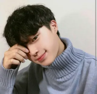 😌 fb2c7517 人物, 男性, アジア人, セーター, ポートレート telegram sticker