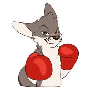 🥊 4615db12 animale, cane, boxe, guantoni, cartone animato, adesivo, combattente whatsapp sticker