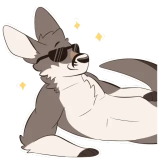 😎 6dd77c94 canguro, cartone animato, animale, occhiali da sole, rilassato, adesivo, peloso whatsapp sticker