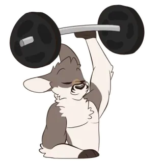 💪 ede88193 sollevamento pesi, cartone animato, fitness, esercizio, sollevamento, sport, animale whatsapp sticker