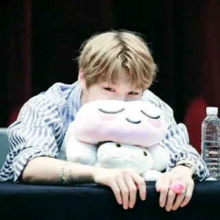 😊 353caa40 personne, jouet, peluche, kpop, idole, asiatique, mignon whatsapp sticker