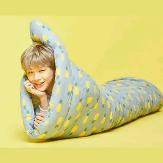 😴 fea24d60 personne, sac de couchage, ananas, portrait, fond jaune whatsapp sticker