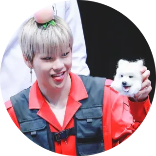 😛 8329a188 人物, 桃子, 狗, 微笑, 韩流, 可爱, 年轻 telegram sticker