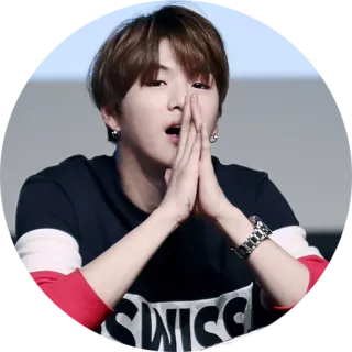 🙏 fbfbcbb9 SWISS 人物, 男人, 肖像, 服装, 风格 telegram sticker