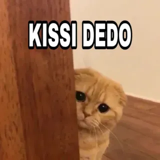 😎 0d70c605 KISSI DEDO 猫, 可爱, 宠物, 梗 telegram sticker