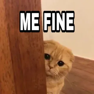 😎 23440b50 ME FINE 猫, 表情包, 伤心, 搞笑, 动物, 宠物 telegram sticker