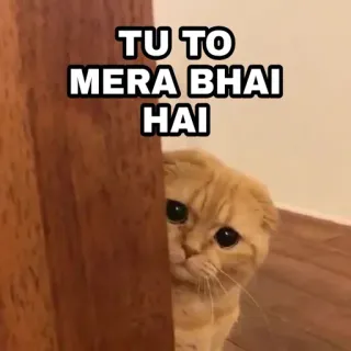 😎 30ad2329 TU TO
MERA BHAI
HAI 猫, 表情包, 兄弟, 朋友, 宠物, 可爱, 动物 telegram sticker