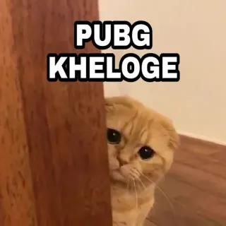 @MereChannels ne chura liya bhai telegram stickers