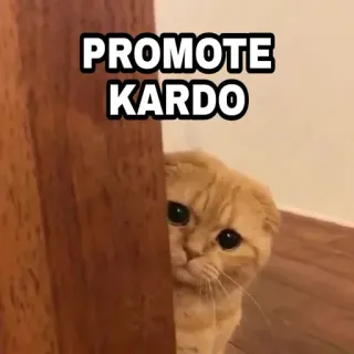 😎 5ffb8f3f PROMOTE KARDO 猫, 可爱, 动物, 宠物, Kardo telegram sticker