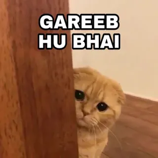 😎 a2c30b87 GAREEB HU BHAI 猫, gareeb, 悲伤, 贫穷, 动物, 表情包 telegram sticker