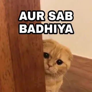 😎 e2e9fd9b AUR SAB BADHIYA 猫, 可爱, 偷看, 隐藏, 动物 telegram sticker