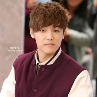 😊 7303e707 THE REAL K-pop, 亚洲, 男人, 人, 歌手 telegram sticker