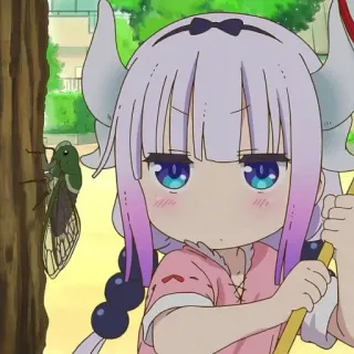 🤍 7a3311a7 Kanna Kamui Miss Kobayashi's Dragon Maid Anime, Drache, Loli, Süß, Kanna whatsapp sticker