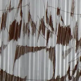 🌸 7648d8f4 telegram sticker