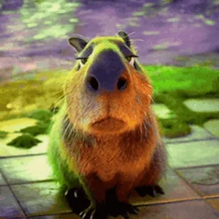 ะะฐะฟะธะฑะฐัะฐ/Capybara @WhisperingPixels telegram stickers