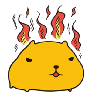 😡 24922f70 水豚, 动物, 火, 卡通, 生气, 火焰, 梗 telegram sticker