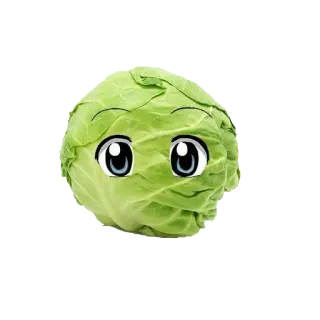 Kapusta telegram stickers