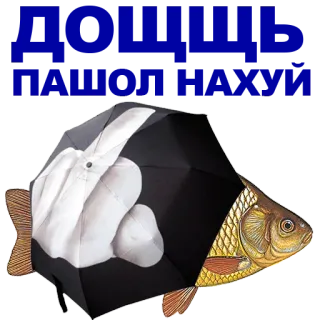 🐠 399d0ea3 dedo corazón, pez, paraguas, grosero, gesto ofensivo telegram sticker