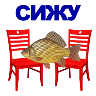 КАРАСЬ whatsapp stickers