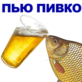 🐠 520d76c0 cerveza, pez, bebida, animal telegram sticker