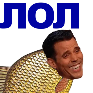 🐠 52d0859c pez, cabeza, gracioso, collage, pez dorado telegram sticker