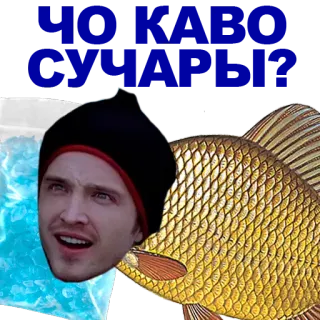 КАРАСЬ whatsapp stickers