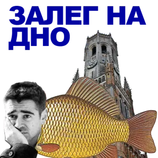 🐠 c506ff1a Colin Farrell In Bruges pez, brujas, actor, torre, turismo telegram sticker